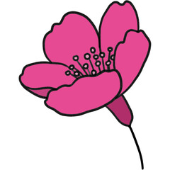 Simple Flower Illustration Isolated