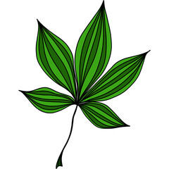 Illustration of a green plant leaf