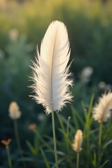 Soft, downy feathers drift gently downwards, illuminated by soft sunlight, creating a serene and ethereal scene Perfect for nature, tranquility, and delicate themes , beauty, macro