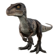 Obraz premium Velociraptor dinosaur isolated on transparent background