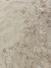 Footprints left behind on the Sandy Beach reveal a story untold