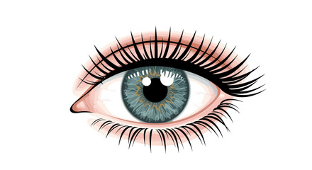 Realistic blue eye with detailed lashes and reflections on white background