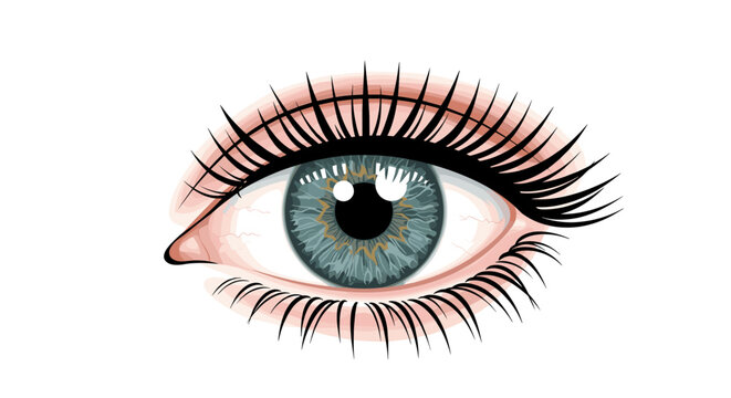 Realistic blue eye with detailed lashes and reflections on white background