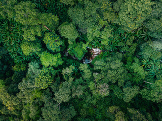 Aerial view of waterfalls and rainforests, forests and environmental conservation