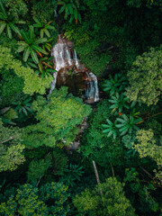 Aerial view of waterfalls and rainforests, forests and environmental conservation