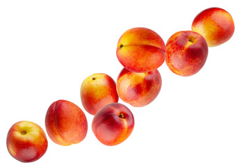 Perfectly retouched nectarines fly in space forming a chain shape. Isolated on white