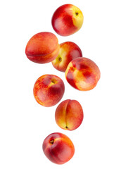 Perfectly retouched nectarines falling in space. Isolated on white
