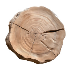 Natural wooden tree slice with visible rings and cracks in detailed closeup view