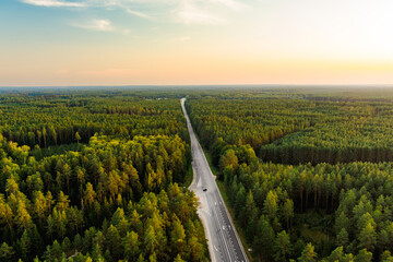 Aerial view of a forest road cutting through dense pine woods in Lithuania