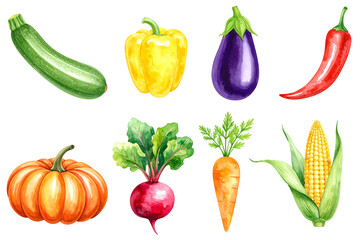 Set of vegetables isolated on transparent background. Collection of vegetables. Illustration. Zucchini, bell pepper, eggplant, chili pepper, pumpkin, beetroot, carrot, corn