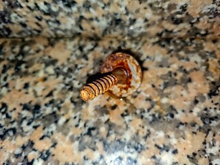 A single, rusted screw with a damaged head and stripped threads lies on a speckled, granite countertop.
