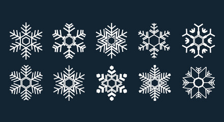 Collection of elegant white snowflake designs symbolizing winter's beauty and festive cheer