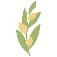 Naklejka premium La Dolce Vita mussels, Italian vibes, Mediterranean style, mussels, seafood art, food illustration, doodle art, hand drawn, watercolor art, Buon Appetito, Italian summer, summer vibes, dolce vita