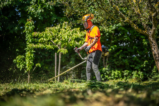 Close up of grass. In background is worker in special reflective clothing with a gasoline mower in his hand. A man with a trimmer mows grass. Man holding a brushcutter cut grass and brush.