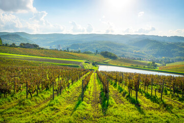 Fototapeta premium Chianti landscape with vineyards and a small pond. Greve in Chianti, Tuscany region, Italy
