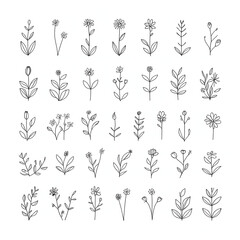 Fototapeta premium Elegant Botanical Line Art A Collection of Simple Floral Designs isolated on transparent background Generative AI.
