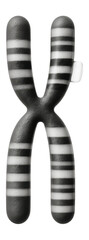 Chromosome banding pattern revealing a duplication on the short arm of chromosome 17