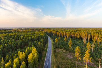 Aerial view of a forest road cutting through dense pine woods in Lithuania