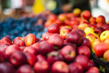 Fresh red and yellow apples in wooden crates sold on farmers food market during annual fair in...