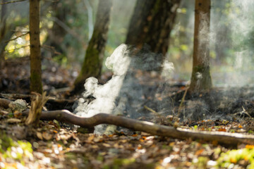 Smoke rises from the forest floor at the beginning of a forest fire among dry leaves and branches.