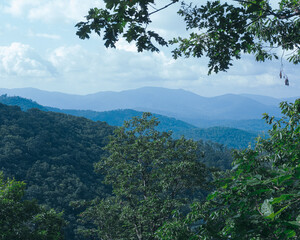 blue ridge mountains with forest