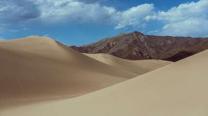 sand dunes in the desert