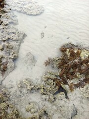 sand in sea water and rocks