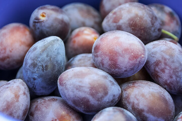 frische Pflaumen