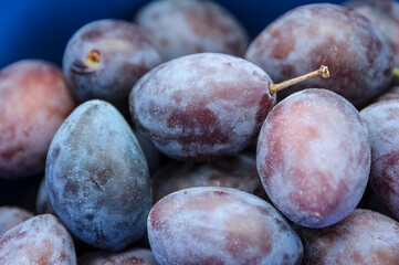 frische Pflaumen