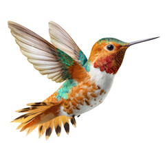 Colorful hummingbird in flight, detailed feathers, dark background