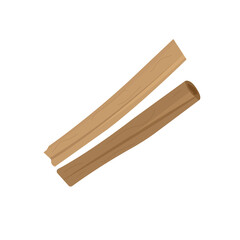 vector illustration of cinnamon bark herb