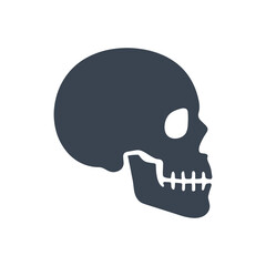 Human Skull Anatomy Icon