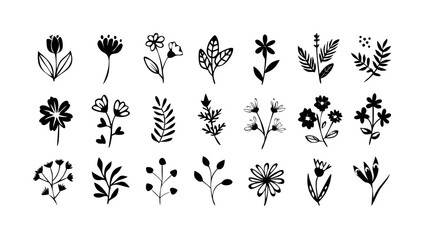 Delicate Floral Accents flower bloom