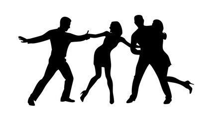 Elegant Swan Silhouette bird water bird