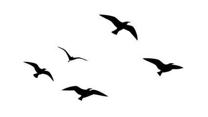 Flock of flying birds silhouette wings