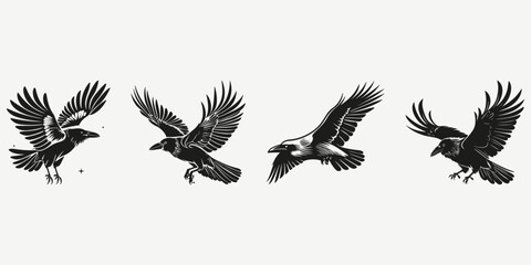 Obraz premium raven crow sketch illustration vector