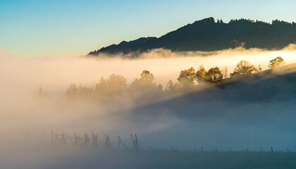 A tranquil landscape bathed in golden sunlight filtering through a thick, ethereal fog, showcasing a rolling hillside dotted with trees.
