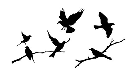 Minimalist Black Silhouette Of A Cat feline animal