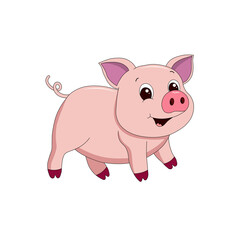 pig