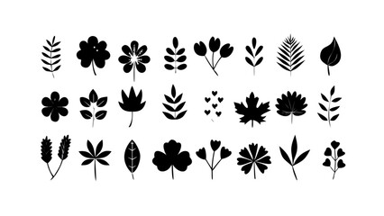 Various botanical elements and abstract shapes nature