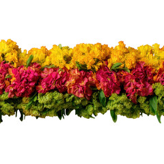 Vibrant flower garland with yellow red and green blooms isolated on transparent background