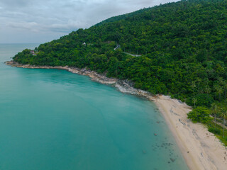 Aerial view white sand sea beach coconut palm tree tropical forest