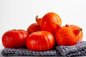 Close-up of fresh orange pumpkins on knitted gray scarf