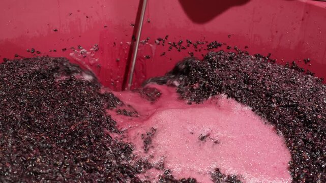 Close-up of red grape maceration with juice and skins mixing during the traditional winemaking process.