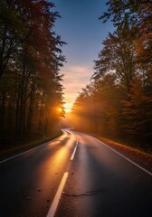 Fototapeta premium Golden Sunset Road Through Woods.