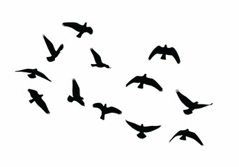 Fototapeta premium Flying birds silhouettes on white background. Vector illustration. isolated bird flying. tattoo design.