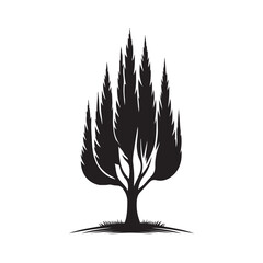 Black Color Cypress Tree Silhouette Vector Illustration, Solid White Background.