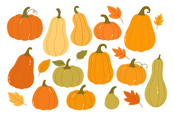 Autumn Illustration of Colorful Pumpkins and Fall Leaves for Harvest, Halloween, and Seasonal Decorations