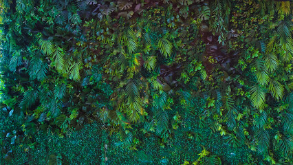 Green leafy forest foliage background with all green shades