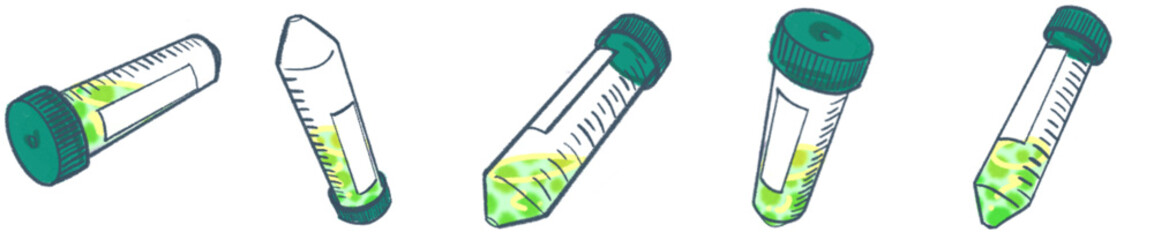 Conical Centrifuge Tube PNG Clipart for Laboratory Science and Research Illustration